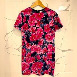 Aritzia Babaton Patricio Shift Dress size 4